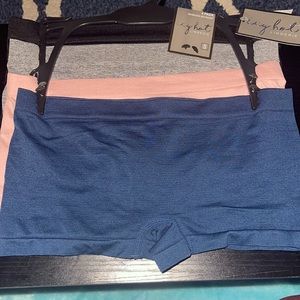 ❤️NEW!!❤️ Icy Hot 4 pack Seamless Boyshort.